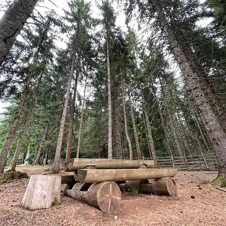 Nisicka Oaza Dağ evi *