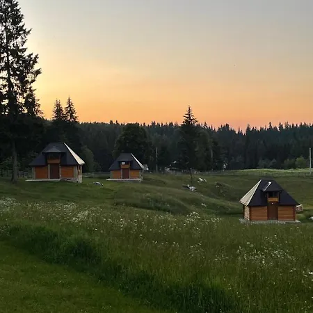 Nisicka Oaza * Saraybosna