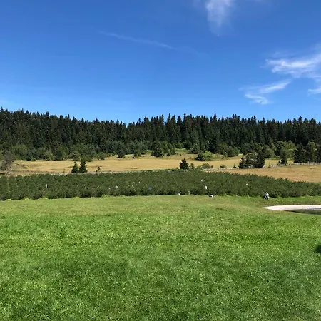 Nisicka Oaza בקתה *