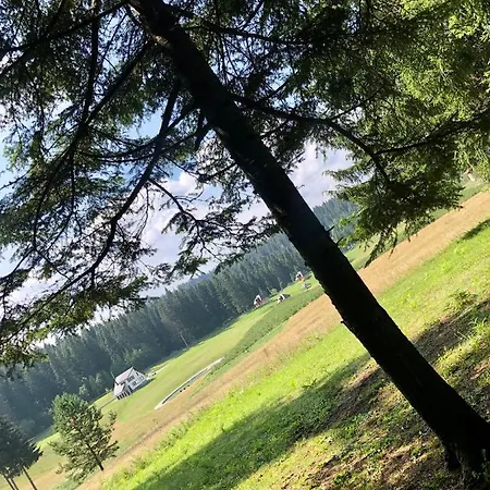 Dağ evi Nisicka Oaza