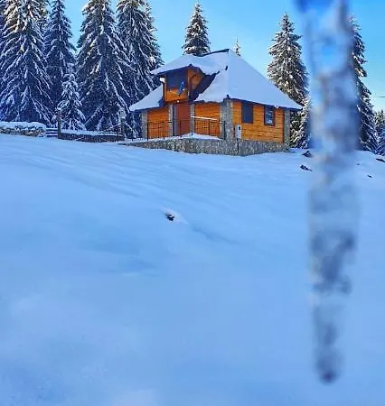 Alpstuga Nisicka Oaza