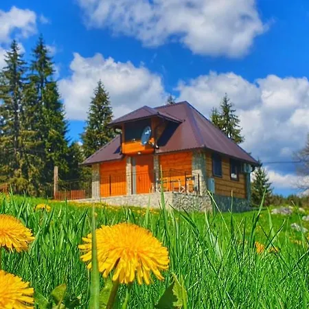 Chalet Nisicka Oaza *