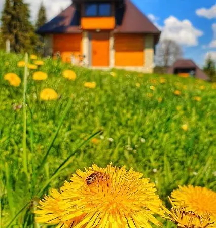 Chalet Nisicka Oaza Sarajevo