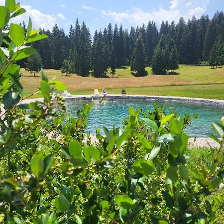 Nisicka Oaza Sarajevo