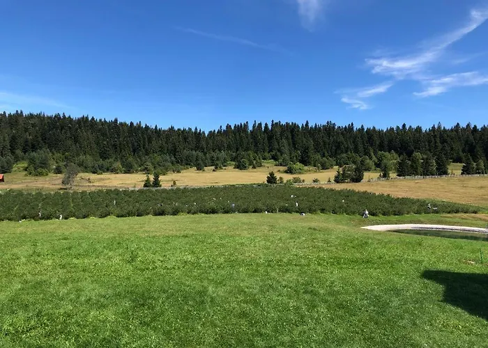 Nisicka Oaza בקתה *