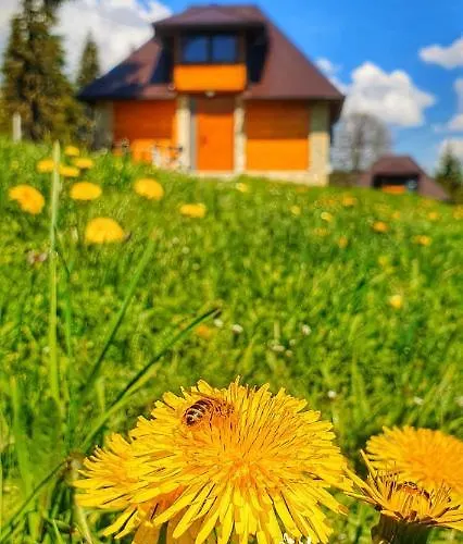 Chalé Nisicka Oaza Saraievo