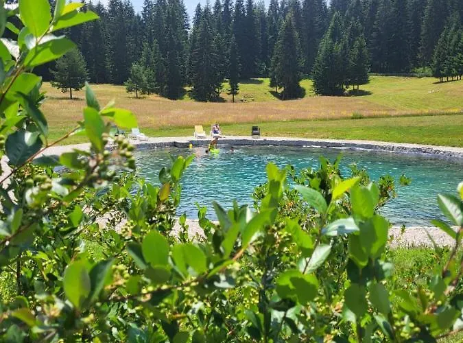 Nisicka Oaza Saraievo